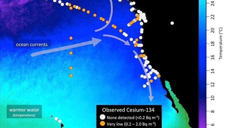 Fukushima Cesium Detected Offshore